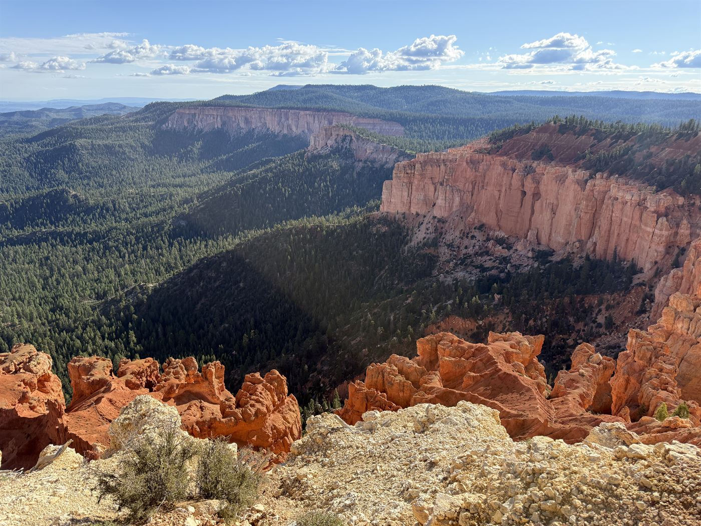 A deep forested basin below the red and white rock rim of the Paunsaugunt Plateau at Bryce Canyon.