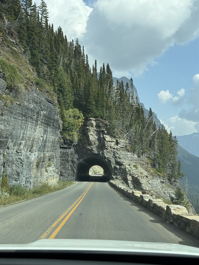 A two-lane mountain road running toward a tunnel cut through a rock outcrop, with evergreens on the slope above.